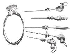 �c���鿴�����DƬ