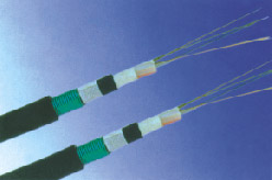 �c���鿴�����DƬ