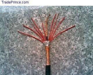 �c(di��n)���鿴�����DƬ