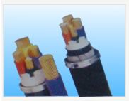 �c(di��n)���鿴�����DƬ