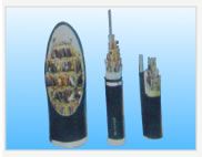 �c(di��n)���鿴�����DƬ